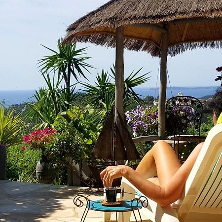 Nouveau ! Chambre D'Hote Insolite Privee " Coeurs De Pirates A Bali En Provence" Spa Sauna Massages Dans Cadre Exotique D'Amenagements Exterieurs D'Exception Ete Comme Hiver Bienvenue !!! Cavalaire-sur-Mer Exteriör bild