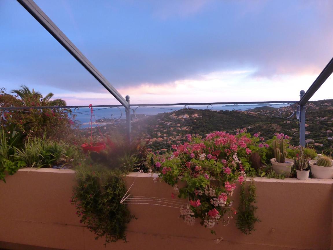 Nouveau ! Chambre D'Hote Insolite Privee " Coeurs De Pirates A Bali En Provence" Spa Sauna Massages Dans Cadre Exotique D'Amenagements Exterieurs D'Exception Ete Comme Hiver Bienvenue !!! Cavalaire-sur-Mer Exteriör bild