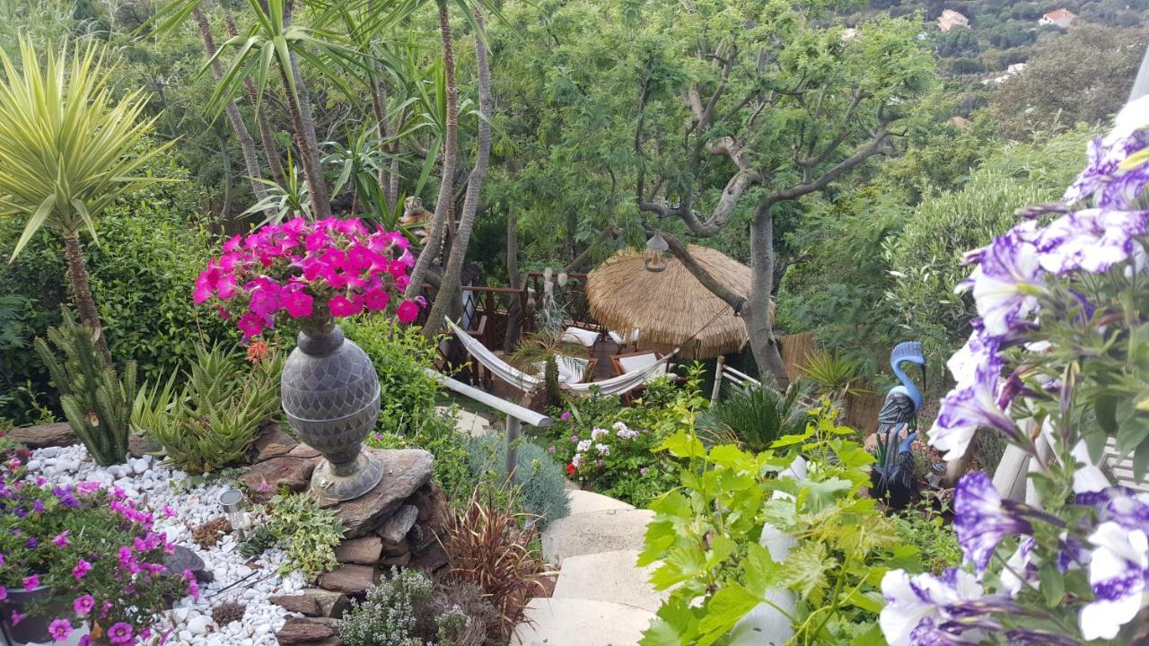 Nouveau ! Chambre D'Hote Insolite Privee " Coeurs De Pirates A Bali En Provence" Spa Sauna Massages Dans Cadre Exotique D'Amenagements Exterieurs D'Exception Ete Comme Hiver Bienvenue !!! Cavalaire-sur-Mer Exteriör bild