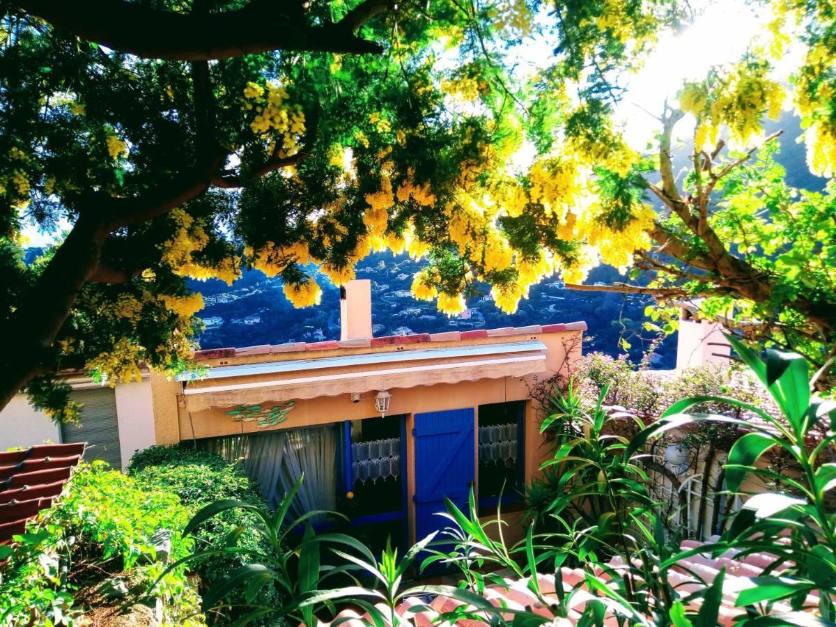 Nouveau ! Chambre D'Hote Insolite Privee " Coeurs De Pirates A Bali En Provence" Spa Sauna Massages Dans Cadre Exotique D'Amenagements Exterieurs D'Exception Ete Comme Hiver Bienvenue !!! Cavalaire-sur-Mer Exteriör bild