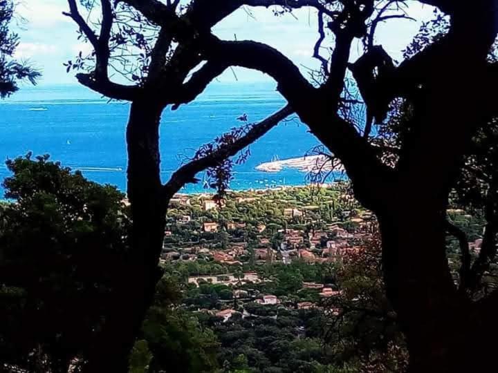 Nouveau ! Chambre D'Hote Insolite Privee " Coeurs De Pirates A Bali En Provence" Spa Sauna Massages Dans Cadre Exotique D'Amenagements Exterieurs D'Exception Ete Comme Hiver Bienvenue !!! Cavalaire-sur-Mer Exteriör bild